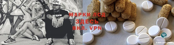 мдпв Абаза